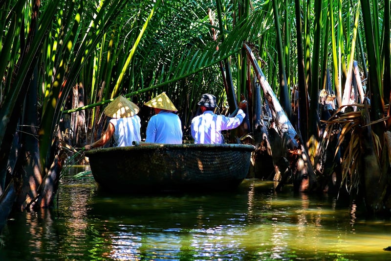 Jungle Expeditions